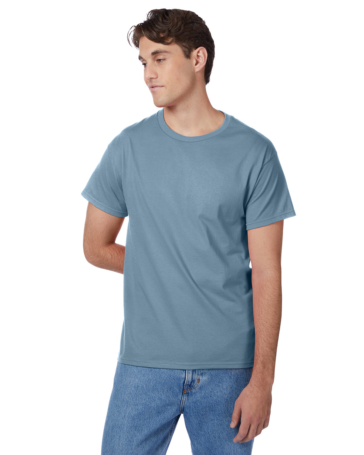 Hanes Men's Authentic-T T-Shirt | alphabroder