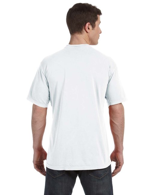 Comfort Colors Adult Lightweight T-Shirt | alphabroder