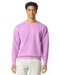 Comfort Colors Unisex Lightweight Cotton Crewneck Sweatshirt  