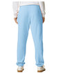 Comfort Colors Unisex Lightweight Cotton Sweatpant hydrangea ModelBack