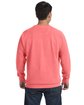 Comfort Colors Adult Crewneck Sweatshirt watermelon ModelBack