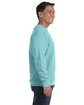Comfort Colors Adult Crewneck Sweatshirt chalky mint ModelSide