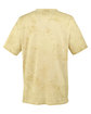 Comfort Colors Adult Heavyweight Color Blast T-Shirt citrine OFBack