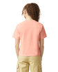 Comfort Colors Ladies' Heavyweight Cropped T-Shirt peachy ModelBack