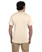 Fruit of the Loom Adult HD Cotton T-Shirt natural ModelBack