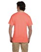 Fruit of the Loom Adult HD Cotton T-Shirt retro hth coral ModelBack