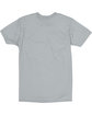 Hanes Unisex Perfect-T T-Shirt light steel FlatBack