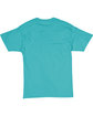 Hanes Unisex Ecosmart  T-Shirt teal FlatBack