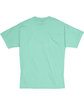 Hanes Unisex Beefy-T T-Shirt clean mint FlatBack