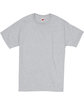 Hanes Adult Essential Short Sleeve T-Shirt ash FlatFront