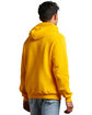 Russell Athletic Unisex Dri-Power Hooded Sweatshirt gold ModelBack