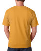 Bayside Adult T-Shirt gold ModelBack