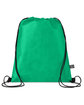 Prime Line Recycled Non-Woven Drawstring Cinch-Up Backpack Bag green ModelBack