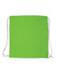 Prime Line Cotton Canvas Drawstring Backpack lime green ModelBack