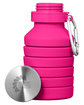 Prime Line Prisma 18oz Collapsible Water Bottle heliconia DecoFront