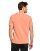 Threadfast Apparel Colors Unisex Garment Dyed T-Shirt clay ModelBack