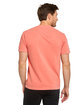 Threadfast Apparel Colors Unisex Garment Dyed T-Shirt salmon ModelBack