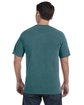 Comfort Colors Adult Heavyweight T-Shirt emerald ModelBack