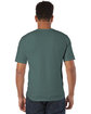 Champion Unisex Garment-Dyed T-Shirt cactus ModelBack