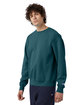 Champion Unisex Garment Dyed Sweatshirt cactus ModelQrt