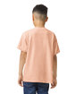 Gildan Youth Heavy Cotton T-Shirt dusty rose ModelBack