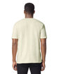 Gildan Adult Softstyle T-Shirt off white ModelBack