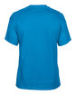 Gildan Adult T-Shirt sapphire OFBack