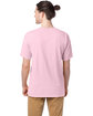 ComfortWash by Hanes Men's Garment-Dyed T-Shirt cotton candy ModelBack