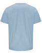Just Hoods By AWDis Unisex Cotton T-Shirt sky blue ModelBack