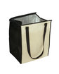 Prime Line Insulated Shopping Tote Bag  