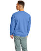 Hanes Unisex Ecosmart Crewneck Sweatshirt carolina blue ModelBack