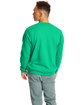 Hanes Unisex Ecosmart Crewneck Sweatshirt kelly green ModelBack
