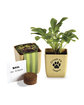 Prime Line Flower Pot Set With Basil Seeds tan DecoFront
