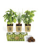 Prime Line Growpot Eco-Planter Herb 3-Pack tan DecoFront