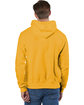Champion Reverse Weave Pullover Hooded Sweatshirt c gold ModelBack