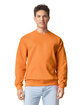 Gildan Adult Softstyle Fleece Crew Sweatshirt  