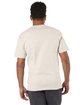 Champion Adult Short-Sleeve T-Shirt oatmeal heather ModelBack