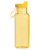 Threadfast Apparel Epic 20oz Click rPET Bottle yellow ModelBack