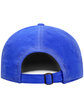 J America Adult Artifact Cap  ModelBack